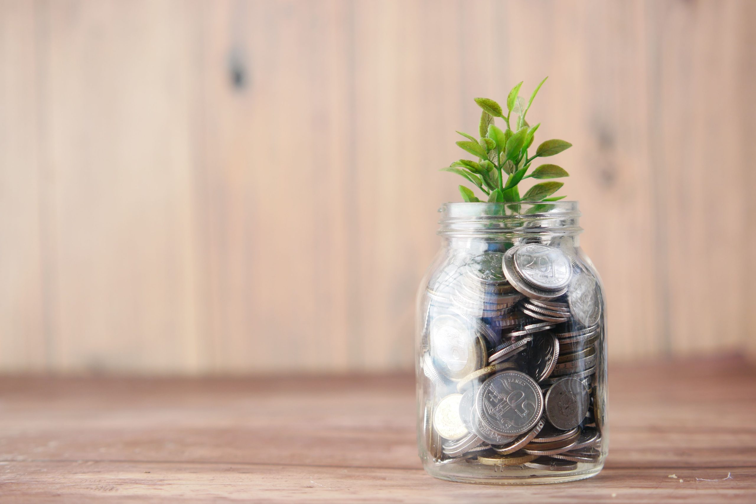 Pot de pièces et plante symbolisant la croissance financière